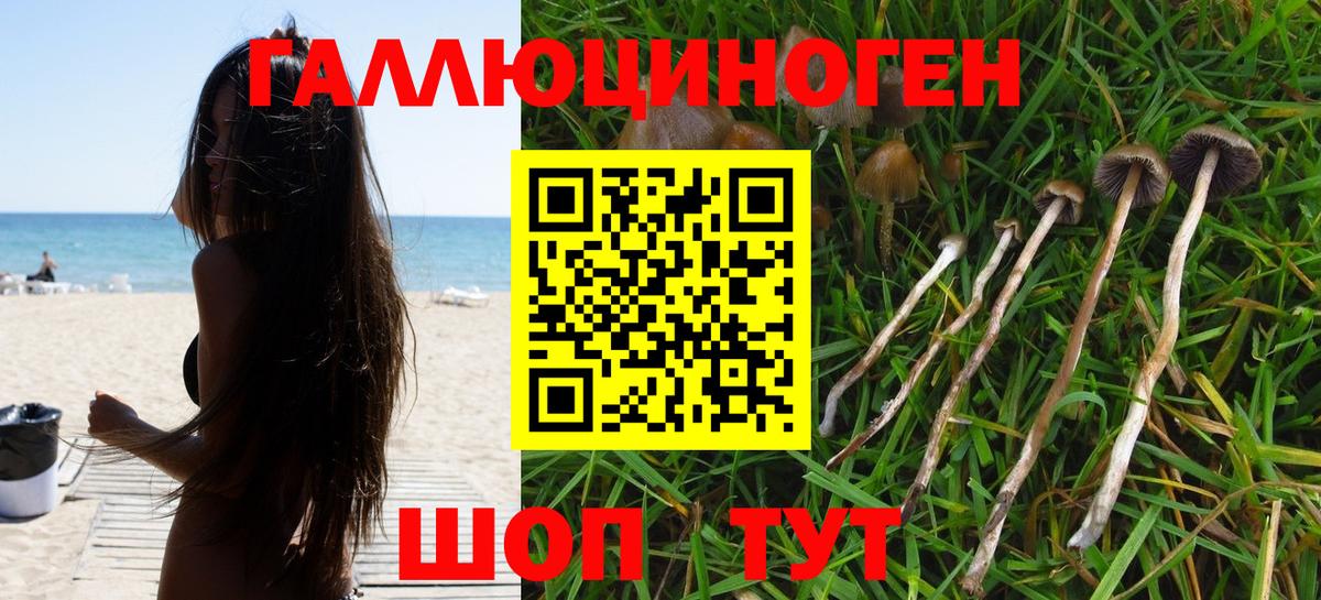 Электросталь  Галлюциногенные грибы Psilocybe  Вход с VPN 
