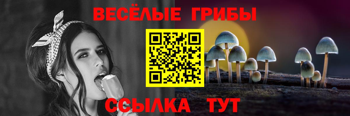 Псилоцибиновые грибы мицелий Электросталь